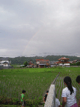 10.gif