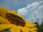 IMGP9586.JPG