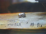 IMGP9614.JPG