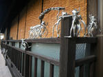 IMGP0055.JPG