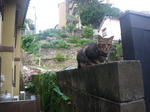 IMGP0071.JPG