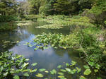 IMGP0134.JPG