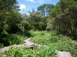 IMGP0147.JPG