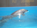 IMGP0169.JPG
