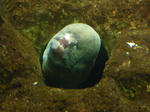 IMGP0191.JPG