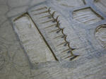 IMGP0281.JPG