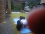 IMGP0483.JPG