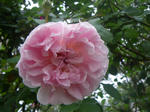 IMGP1049.JPG