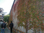 IMGP1113.JPG
