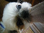 IMGP1187.JPG