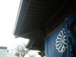 IMGP1760.JPG