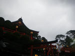 IMGP1780.JPG