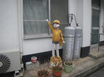 IMGP2533.JPG