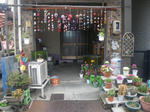 IMGP2535.JPG