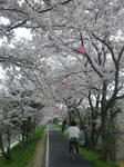 IMGP3246.JPG