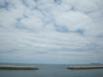 IMGP3946.JPG