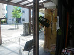 IMGP3951.JPG