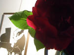 IMGP3993.JPG