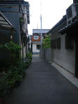 IMGP4217.JPG