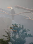 IMGP4447.JPG