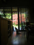 IMGP4652.JPG