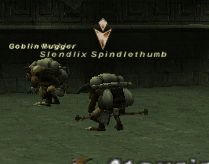 f246.jpg