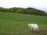 ea7586cd.JPG