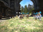 capture_00030.jpg