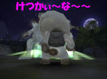 3be94b39.JPG