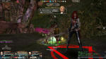 capture_00948.jpg
