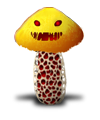 mushroom.png