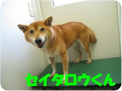 b8f97205.jpeg