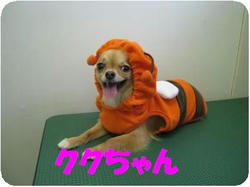9fd03486.jpeg