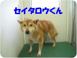 2a60333f.jpeg