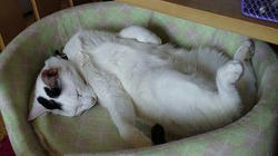 DSC01010.JPG