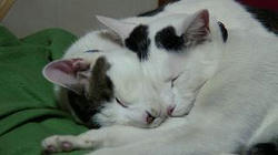 DSC01016.JPG