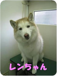 7f233736.jpeg