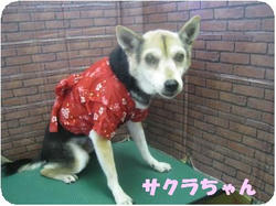 HAKAMADA_convert_20100708093128.jpg