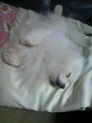 2010110120250000.jpg