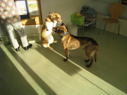 IMG_6572_convert_20110114150001.jpg