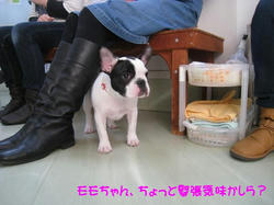 IMG_6799_convert_20110203141234.jpg