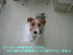 IMG_6805_convert_20110203141341.jpg