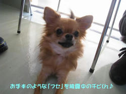 IMG_6820_convert_20110203141450.jpg