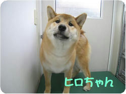 328b759a.jpeg