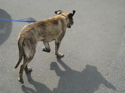 s-IMG_9066.jpg