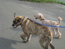 s-IMG_9068.jpg