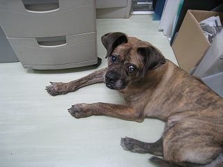 s-IMG_9071.jpg