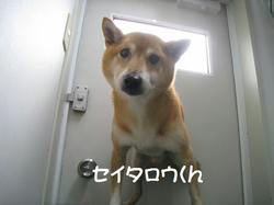7f30d793.jpeg