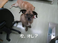 s-IMG_9409.jpg