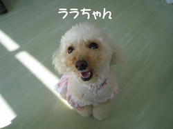 s-IMG_9661.jpg
